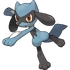 Riolu