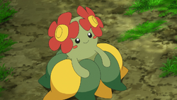 Bellossom anime