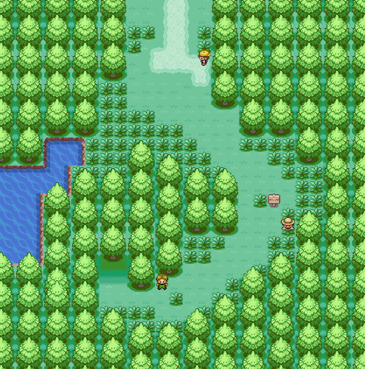 Route 301 | Pokemon Zeta Omicron Wiki | Fandom
