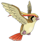 Pidgeot