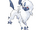 Absol