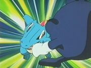 EP219 Totodile vs. Poliwhirl