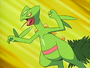 EP468 Sceptile de Ash