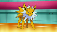 Volkner Jolteon.png