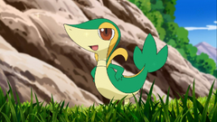 Ash's Snivy