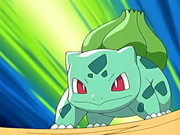 Ash Bulbasaur