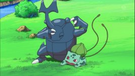 EP650 Heracross siendo atacado por bullbasaur