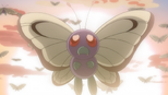 Caterpie → Metapod → Butterfree