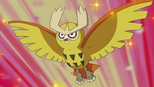 Noctowl