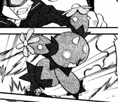 TP Maractus Adventures.png