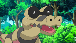 Sunglasses Sandile crying