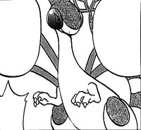 Wally Flygon.png