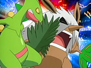 200px-Ash Sceptile Pound