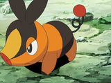 Tepig