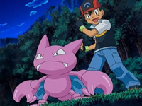 EP554 Ash y Gligar