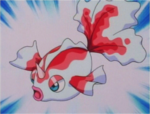 Goldeen