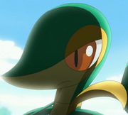 Snivy de Ash EP688