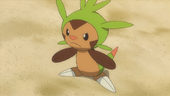 Chespin de Clement no anime XY