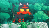 Litten de Ash no anime Sun e Moon