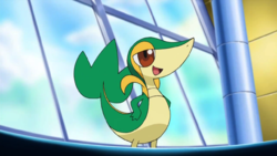 Snivy, PokéPédia