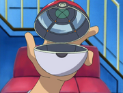 Poke Ball Interior