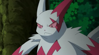 Weiss Zangoose.png
