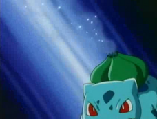 Ash Bulbasaur Sleep Powder