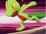 Treecko10ys7