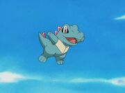 EH14 Totodile de Ash