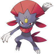 461Weavile