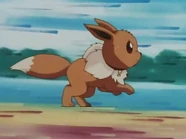 Mikey Eevee.png (194 kB) Eevee