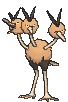 Dodrio