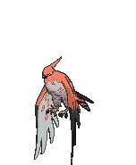 Talonflame.gif