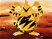 EP013 Electabuzz paralizado