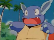 Wartortle asustado