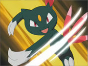 Sneasel usando Golpes Furia