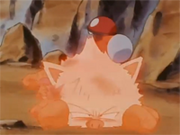 Primeape siendo capturado