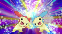 Plusle y Minun usando refuerzo