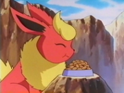 Flareon comiendo