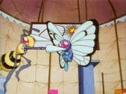 Beedrill atacando a Butterfree