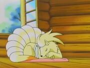 Ninetales herido