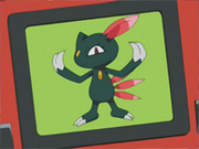 Sneasel en la Pokédex