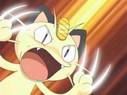 EP012 Meowth apunto de usar golpes furia