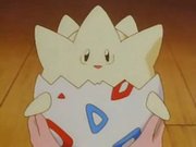 Togepi recién nacido