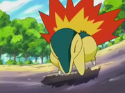 Cyndaquil usando excarvar.png