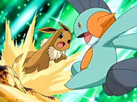 EP009 Eevee usando excarvar