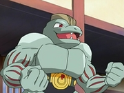 Machoke de Karateka Lie