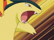 Typhlosion