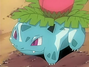 Ivysaur de Gilbert