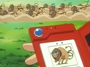 EP043 Tauros Pokedex